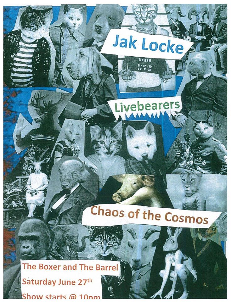 flyer